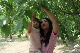 书画+露营+桑葚采摘！高唐农文旅“融”出夏日新玩法图片