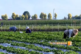 最高30万！政府补贴一半利息！昆明这些人可以申请……图片