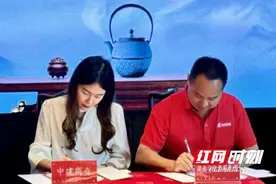 重磅！安化黑茶集团入驻湘江新区梅溪湖图片