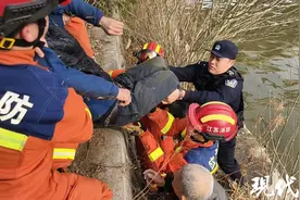 六旬老人不慎落水，警民接力救援上岸图片