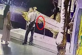 古生物标本被生生掰断“肋骨”，维修要花上万元？博物馆最新回应→图片