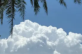 上新|| 这两条百搭裤子，夏天穿不闷腿还防晒！图片