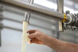 美国加州生牛奶样本中检测出禽流感病毒，相关产品将下架图片