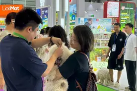 AI养宠的时代来了，这场宠物行业的旗舰展会，也站到了人工智能的风口图片