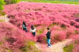 跟着我！一起闯入邳州“爱丽丝仙境”图片