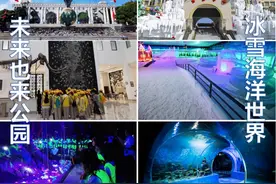 开放预定！昆明公交15条旅游路线带你游石林图片