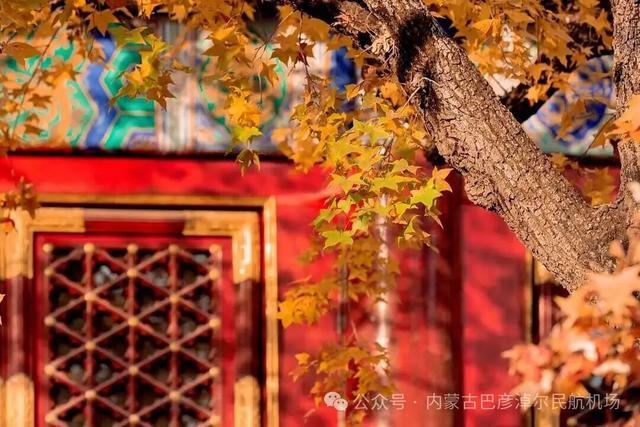 走！打飞的去北京