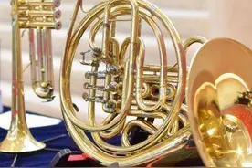 乐器知多少？快来免费了解图片