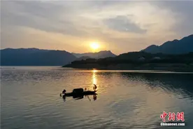 马思劢：东学西渐，为何道家思想更受欢迎？图片