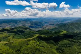 武山：清凉夏日行 悠游好心情图片