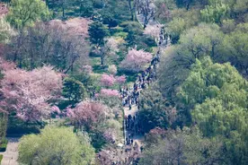 北京市属公园重要花事官方攻略来了图片