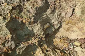 “四川恐龙多，自贡是个窝”！贡井区新发现一处恐龙化石点位图片