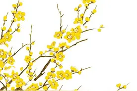 清华新学期书单，一起来读！图片