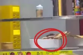 老鼠在桌上穿梭并啃咬食材？当地回应：闭店！整个商场所有门店展开消杀图片