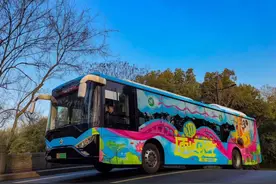 “西湖边的过山车”火了！才3块钱！网友：我的心都飞起来了图片