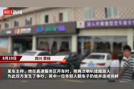 在服务区按喇叭提醒路人，反遭其连续挑衅？车主发声图片