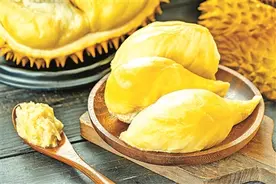 臭臭的榴莲为什么那么多人喜欢图片