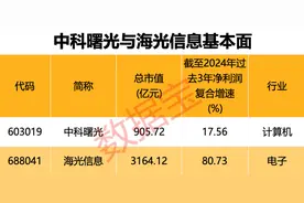 突发！半导体行业重大重组，3000亿元巨头 “鲸吞” 900亿元龙头！“中特估”+“科特估” 行情，要爆？图片