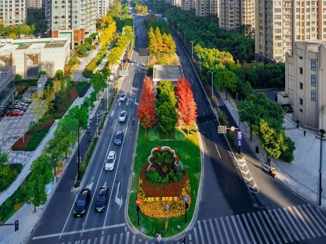 秋冬限定的普陀，美到让人流连忘返，你还不来打卡吗？