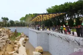 “猫猴共处”引关注  山西太原动物园采取人工灭鼠图片