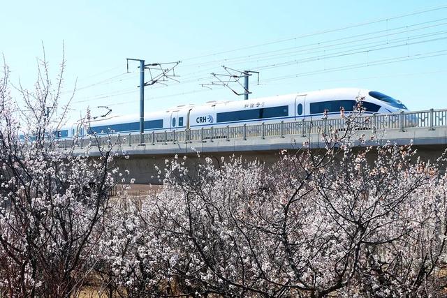 朝阳 浪漫来袭，邂逅“开往春天的列车”
