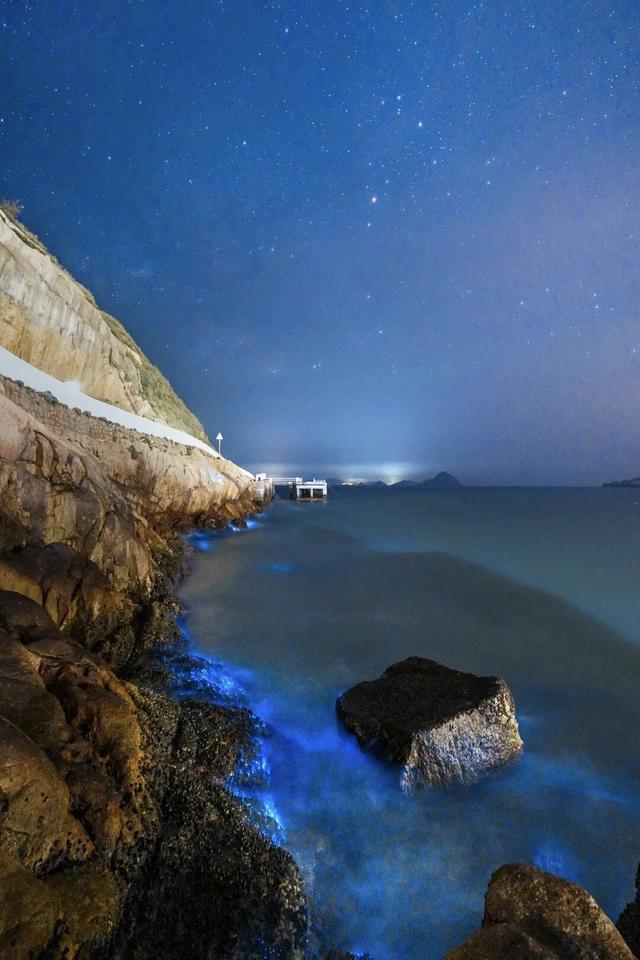 浙江一海岛现“梦幻蓝眼泪”！民宿老板拍下一幕：很震撼，这些点位最易偶遇