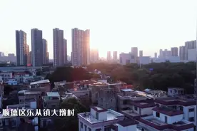 乐从大墩：“一时美”走向“时时美”｜“百千万工程”顺德实践记③图片