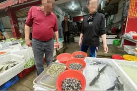 春天独有的一口“肉鲜”美味，藏在5元一斤的螺蛳里图片