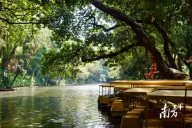 注意！广州公园全面取消入园预约图片