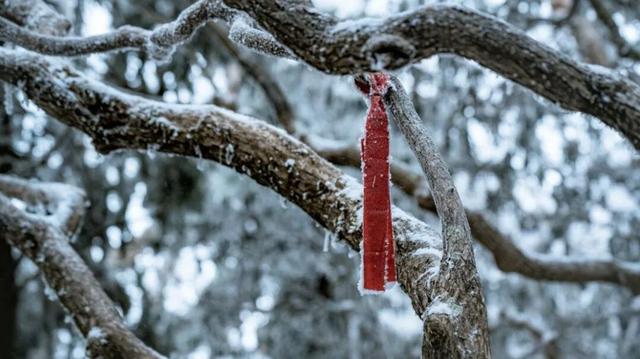 今年跨年怎么玩儿？一起勇闯白云山！