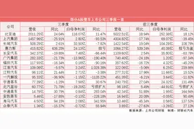 超四成A股上市车企三季度营收利润双降 10家净利之和仅为比亚迪70%图片