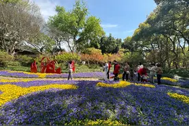 来醉白池赏花看展！穿中国传统服饰可免票入园→图片