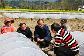 达州市宣汉县以人才引领激活县域经济高质量发展图片