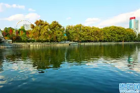 惊艳！河滨公园秋色如画图片