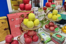 1300万吨，近年之最！脆香、清甜、爽口，陕西红富士苹果今年丰产，沪陕联手大量销售图片