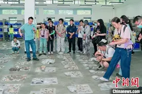 国际古迹遗址日：成都市民走进宝墩古城遗址“对话古今”图片