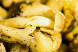 早安春城|提醒！今日起，昆明旅游索道运营时间有调整图片