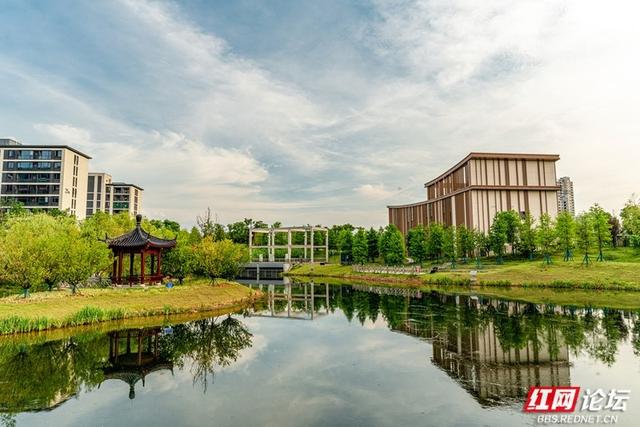 【高清湖南】绿树、流水、花海…… 邂逅长沙洋湖旁的治愈角落