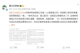 编剧汪海林应诉晋江文学城一审败诉，回应：已上诉图片