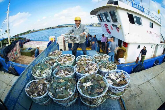 好玩好逛还好吃，关键是“鲜”到离谱！就在闵行这里……