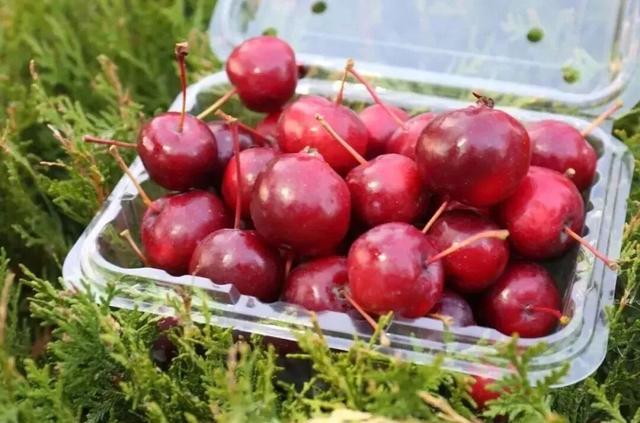 爆款认证！老牛湾黄河大峡谷双榜加冕，冬天这样才叫会玩