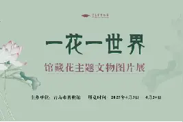 清明假期，在青岛市博物馆，遇见春天的N种诗意图片