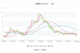 威腾电气：2024年上半年净利润7877.34万元 同比增长104.51%图片