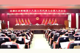 凝心聚力谱新篇！花都区赤坭镇人大十八届八次会议召开图片
