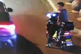 男子抓柯尔鸭当肉鸭吃赔了8千元，网友：不问自取便是偷图片