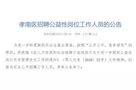 招聘16人！孝南区公益性岗位公开招聘高校毕业生图片