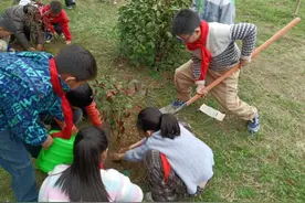 岳西县冶溪中心学校组织开展植树护树活动图片