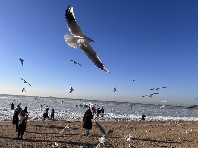 冬日秦皇岛：冰冻的海面藏着别样的美