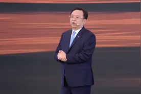 王传福的笑与泪图片