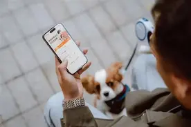 多平台推出宠物“打车”服务 比普通出行贵图片